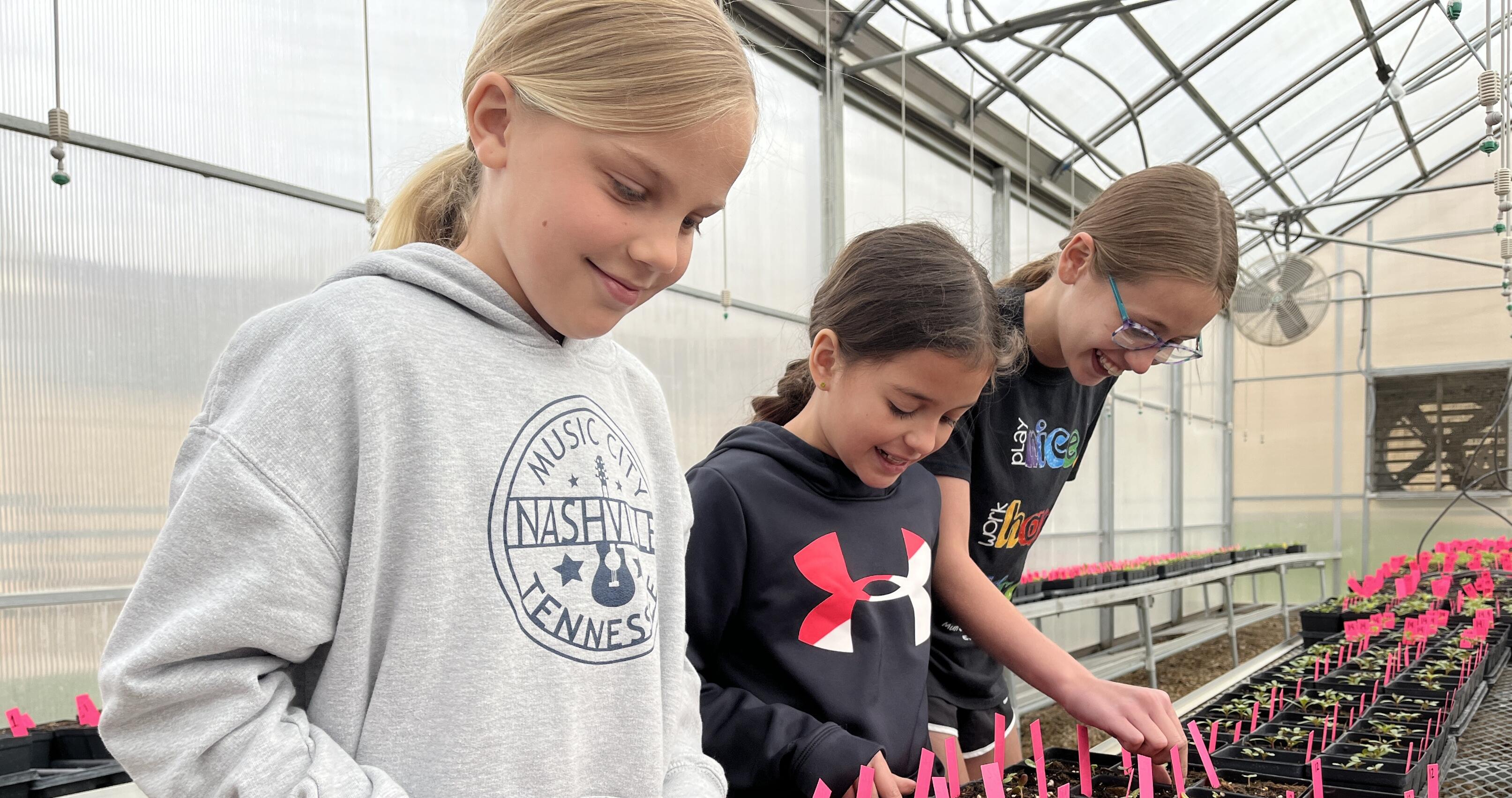 Growing in the Greenhouse